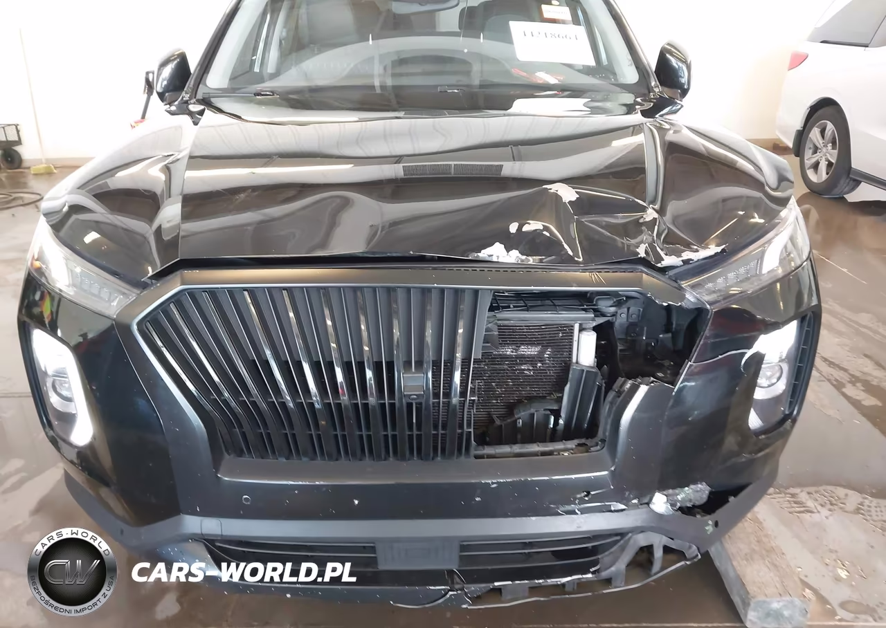 2020 Hyundai Palisade Sel VIN:KM8R3DHE3LU145225 - 12