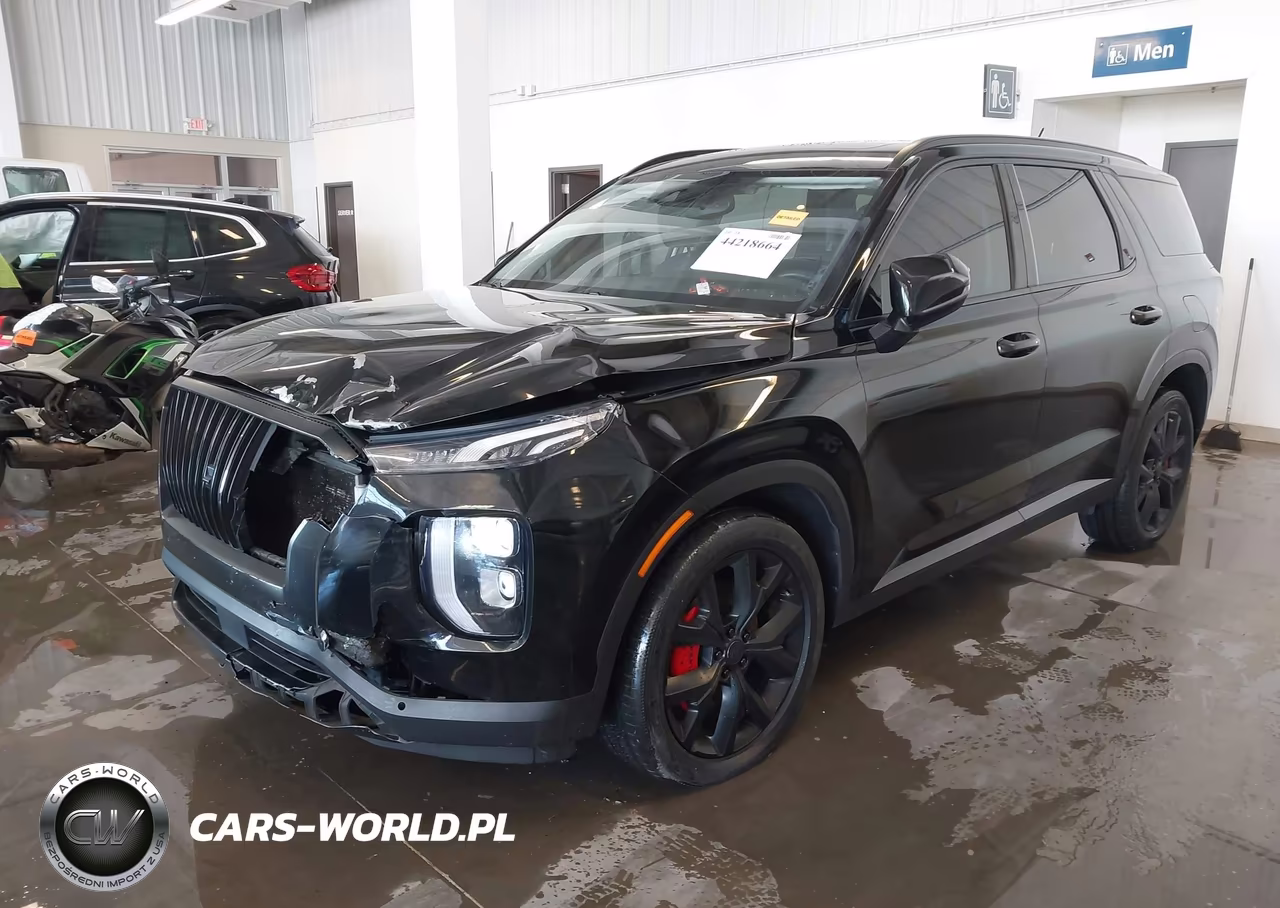 2020 Hyundai Palisade Sel VIN:KM8R3DHE3LU145225 - 2