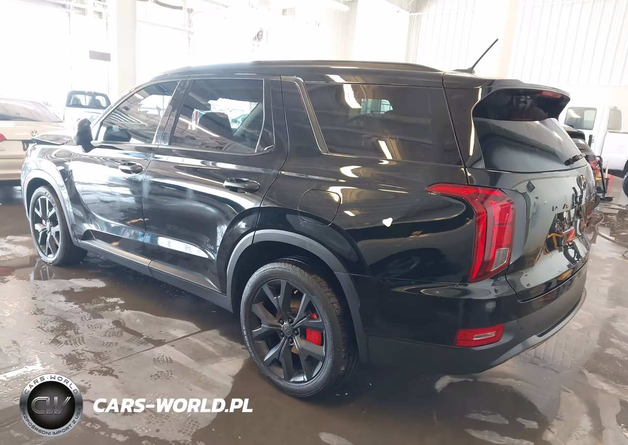 2020 Hyundai Palisade Sel VIN:KM8R3DHE3LU145225 - 3