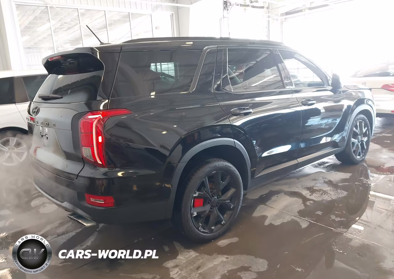 2020 Hyundai Palisade Sel VIN:KM8R3DHE3LU145225 - 4
