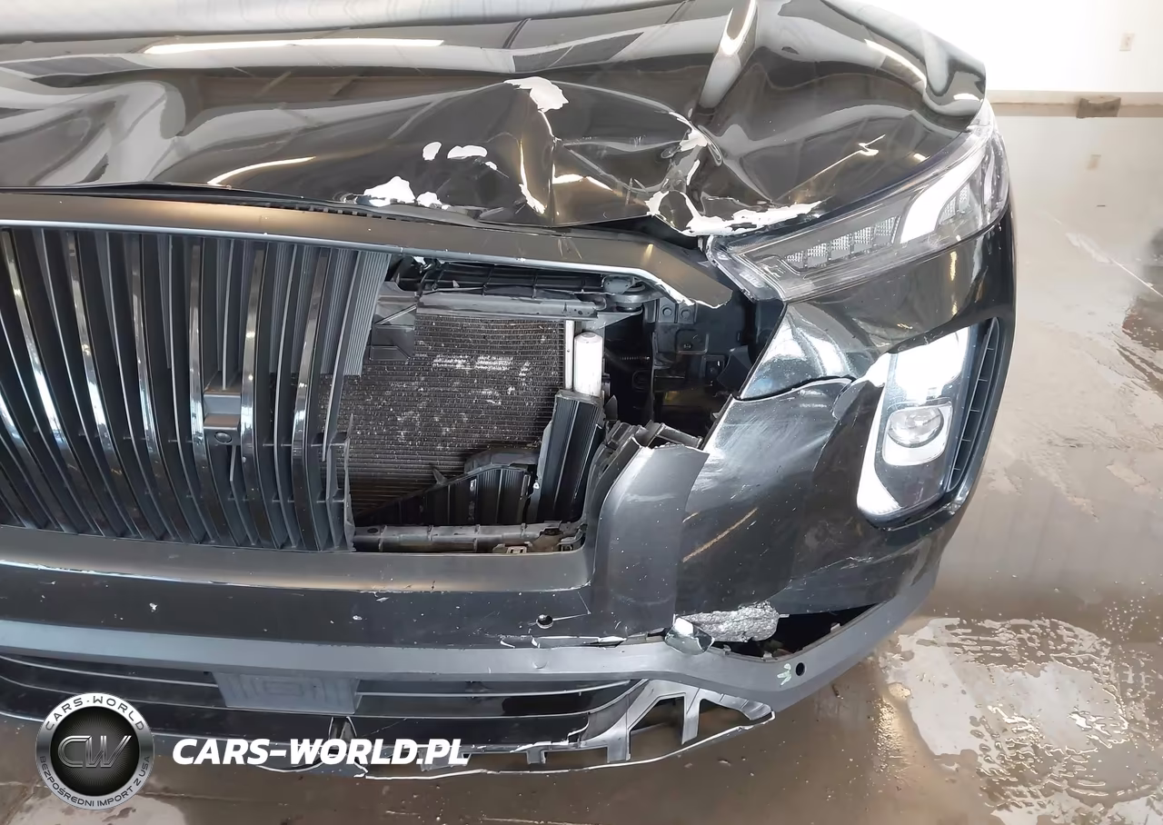 2020 Hyundai Palisade Sel VIN:KM8R3DHE3LU145225 - 6