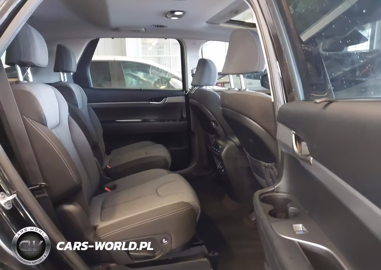2020 Hyundai Palisade Sel VIN:KM8R3DHE3LU145225 - 8