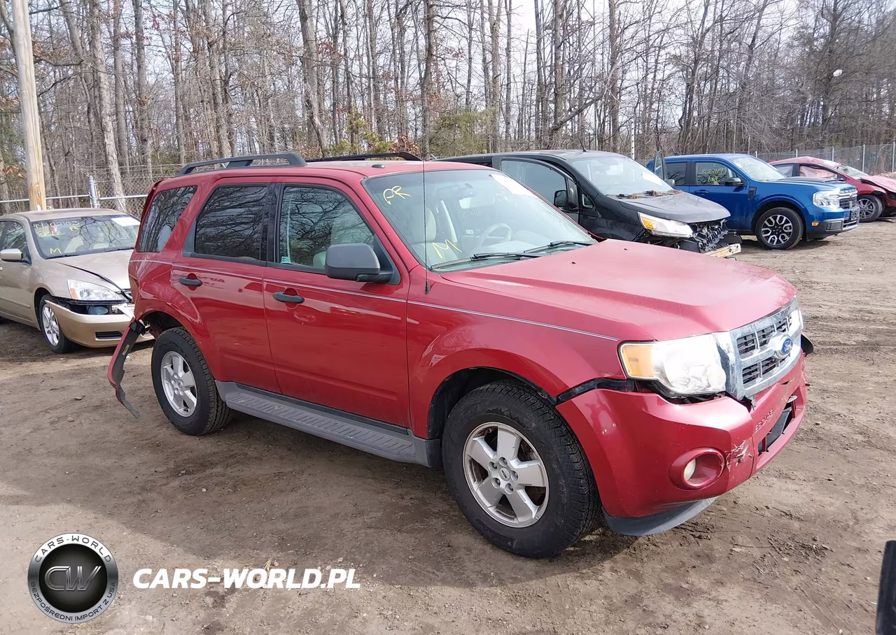 2011 Ford Escape Xlt