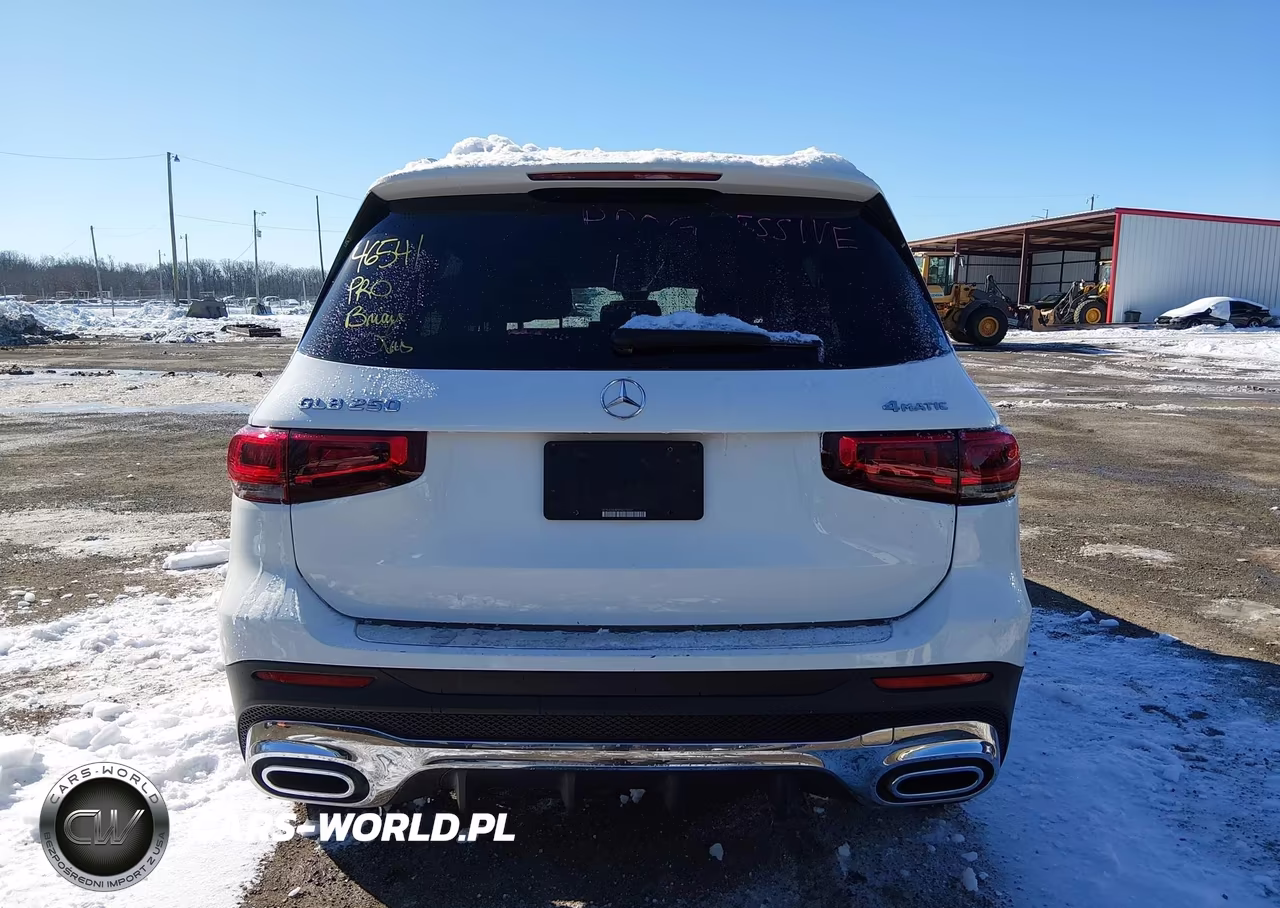 2023 Mercedes-Benz Glb 250 4Matic VIN:W1N4M4HBXPW275507 - 17