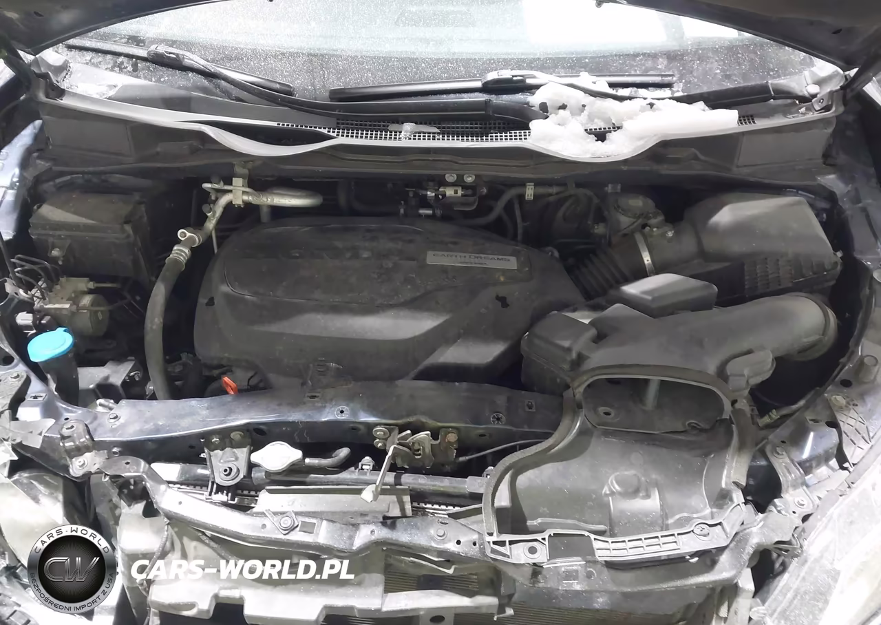2019 Honda Odyssey Lx VIN:5FNRL6H29KB045210 - 10