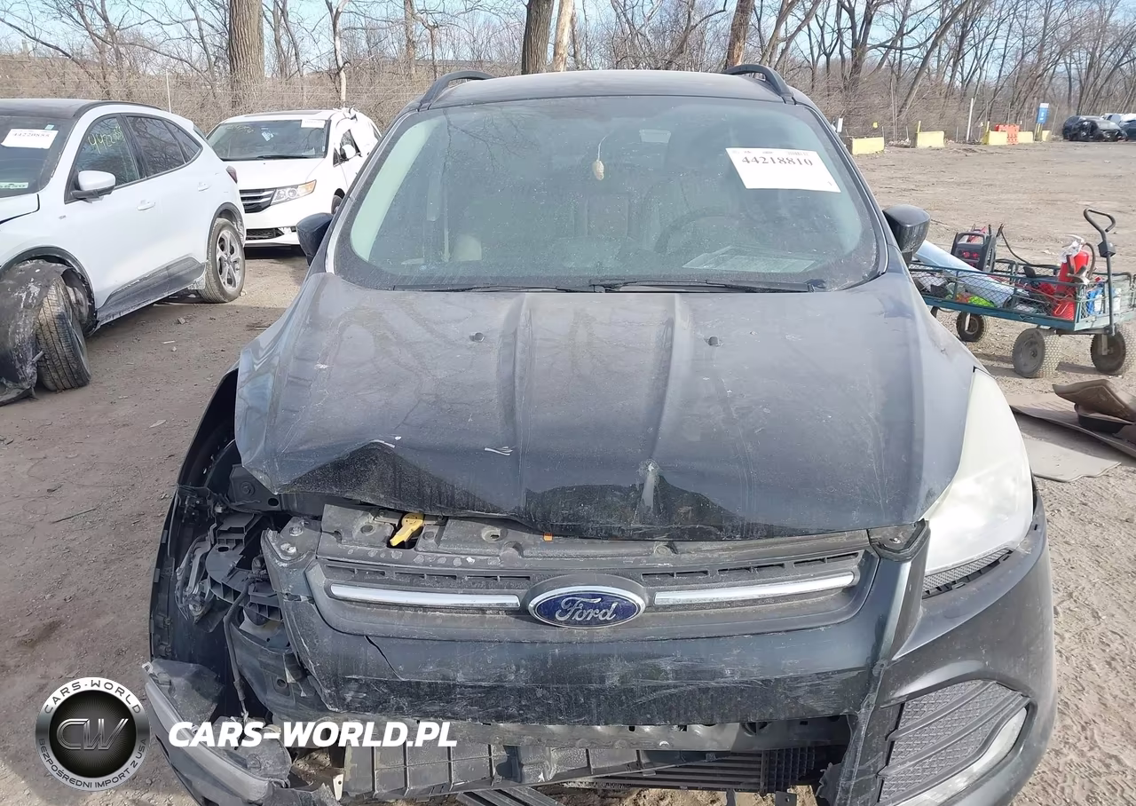 2014 Ford Escape Se VIN:1FMCU9GX3EUB91868 - 12