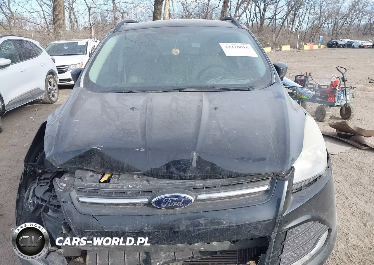 2014 Ford Escape Se VIN:1FMCU9GX3EUB91868 - 6