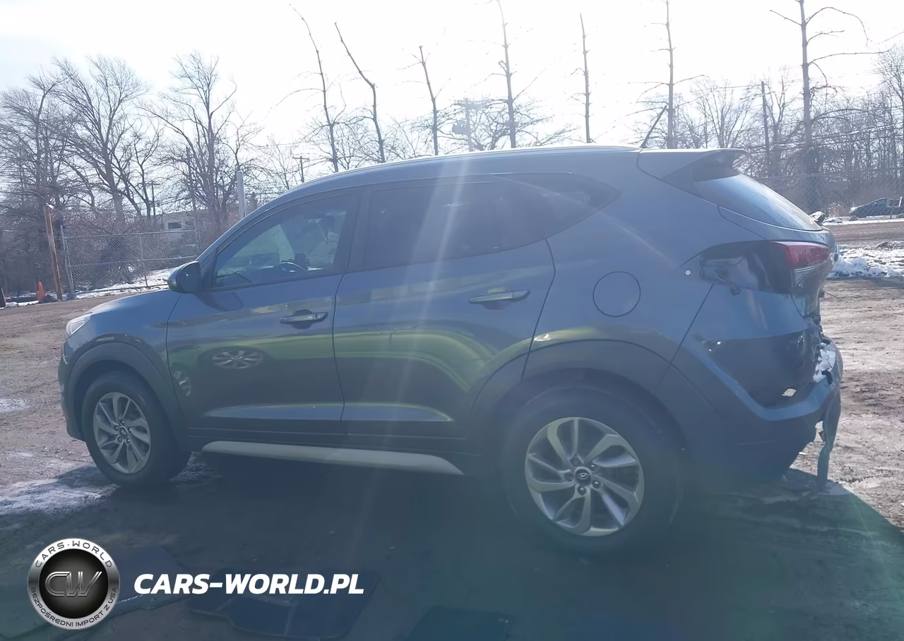 2017 Hyundai Tucson Se VIN:KM8J3CA48HU497880 - 14