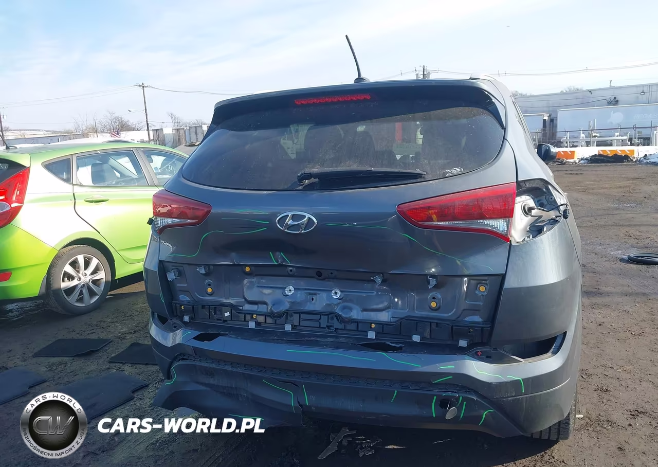 2017 Hyundai Tucson Se VIN:KM8J3CA48HU497880 - 16