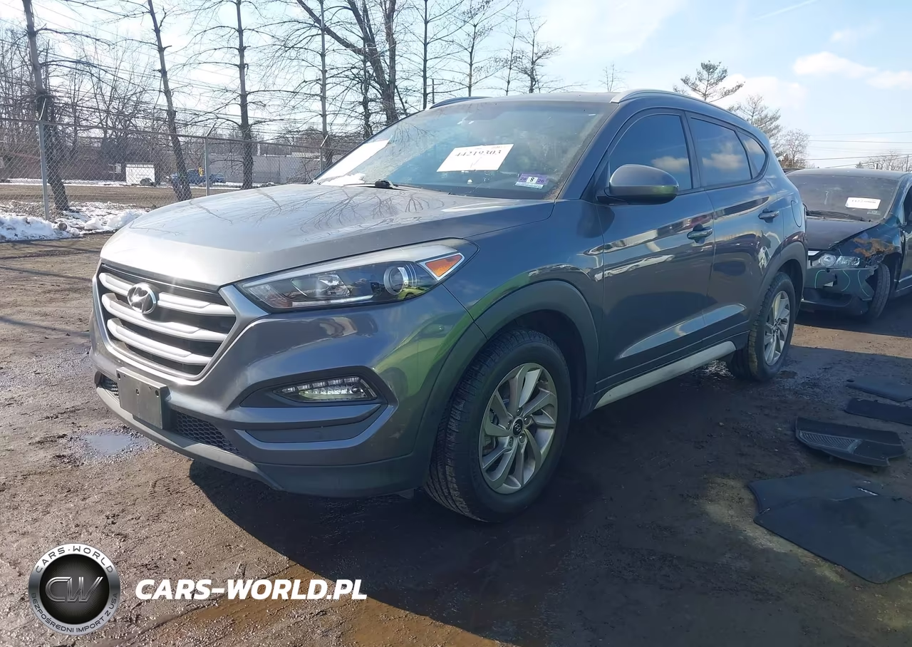 2017 Hyundai Tucson Se VIN:KM8J3CA48HU497880 - 2