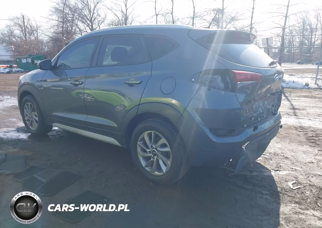2017 Hyundai Tucson Se VIN:KM8J3CA48HU497880 - 3