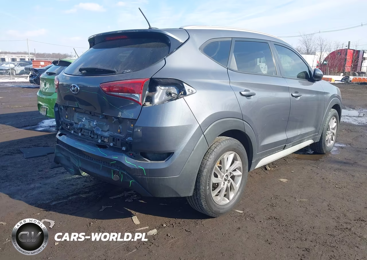2017 Hyundai Tucson Se VIN:KM8J3CA48HU497880 - 4