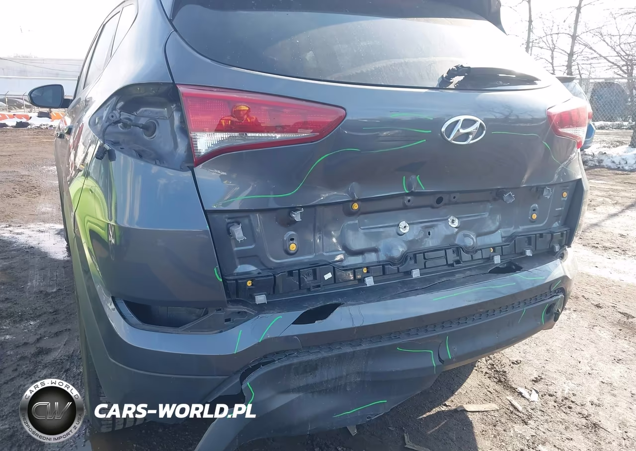 2017 Hyundai Tucson Se VIN:KM8J3CA48HU497880 - 6