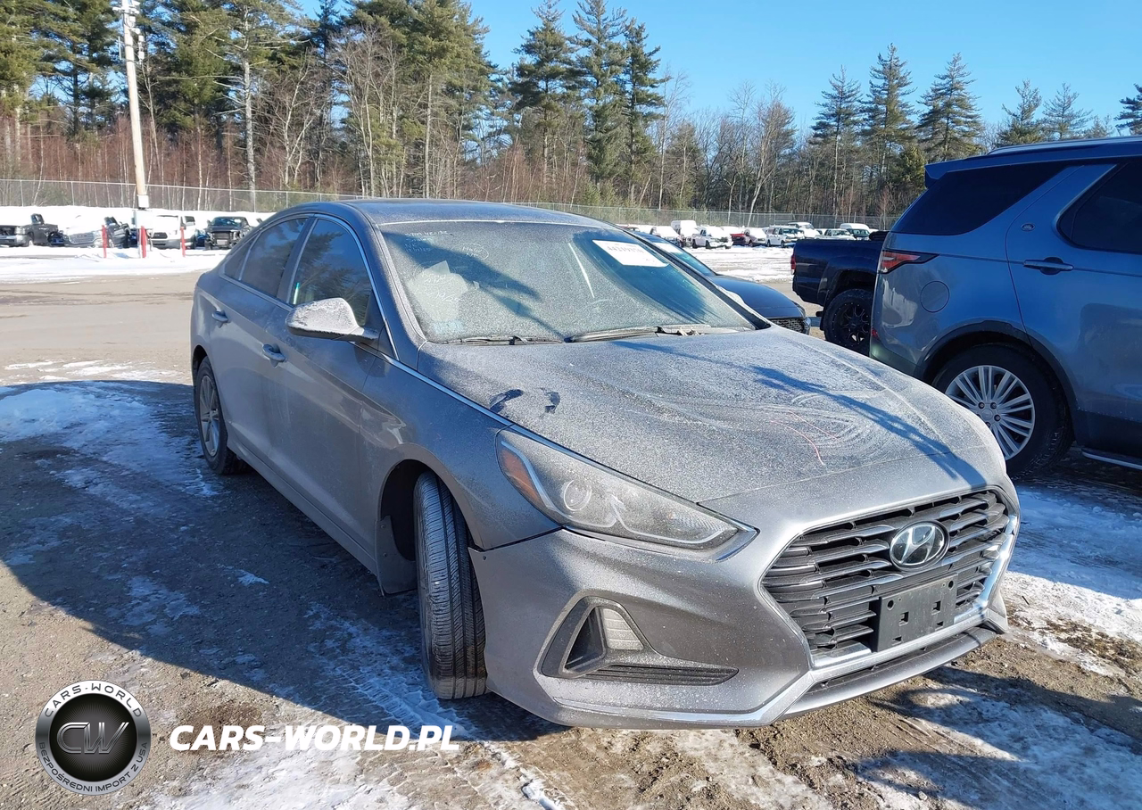 2018 Hyundai Sonata Eco