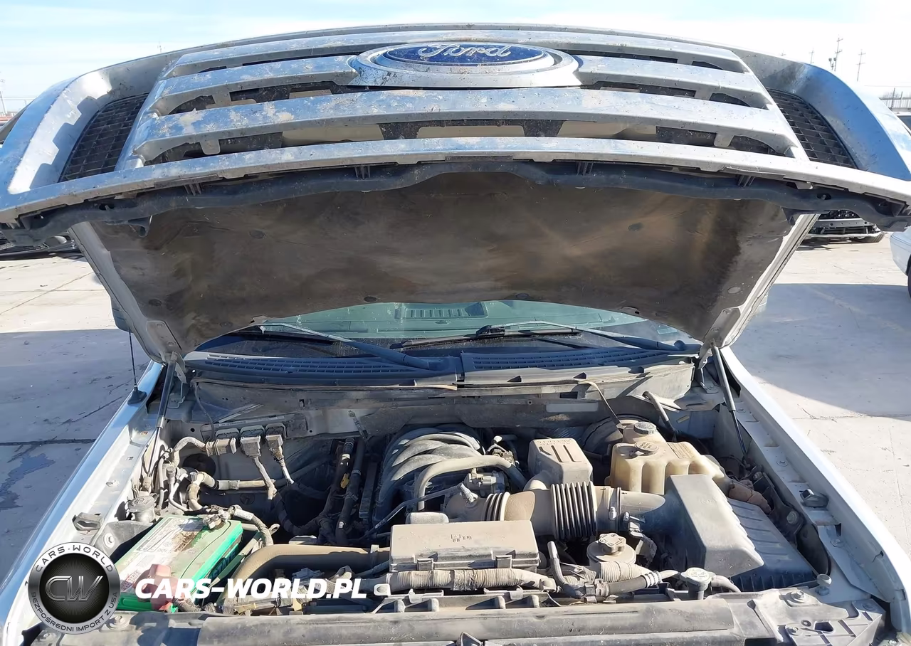 2009 Ford F-150 Xl-Xlt VIN:1FTRW12849FA80878 - 10