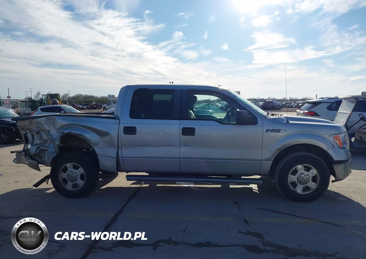2009 Ford F-150 Xl-Xlt VIN:1FTRW12849FA80878 - 13