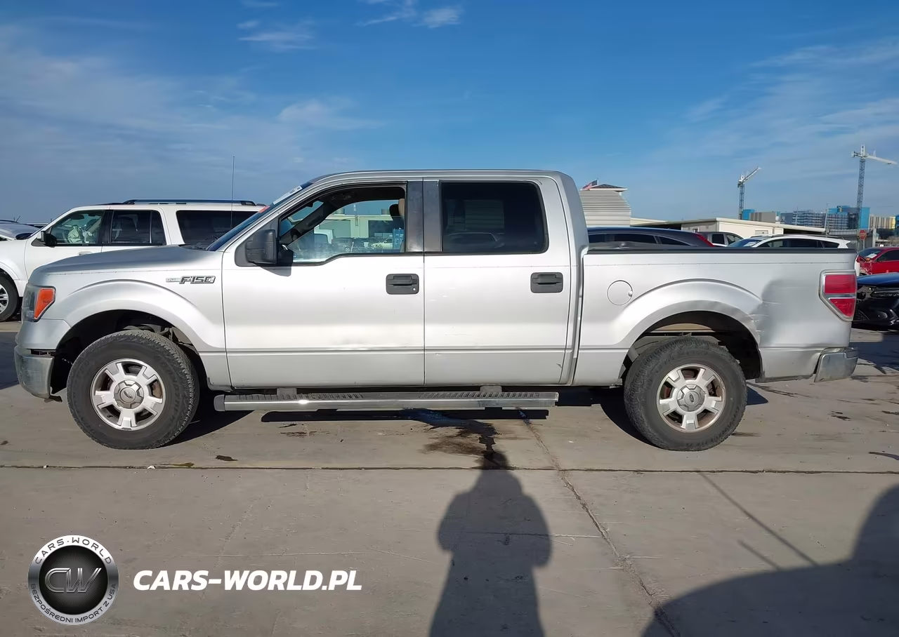2009 Ford F-150 Xl-Xlt VIN:1FTRW12849FA80878 - 14