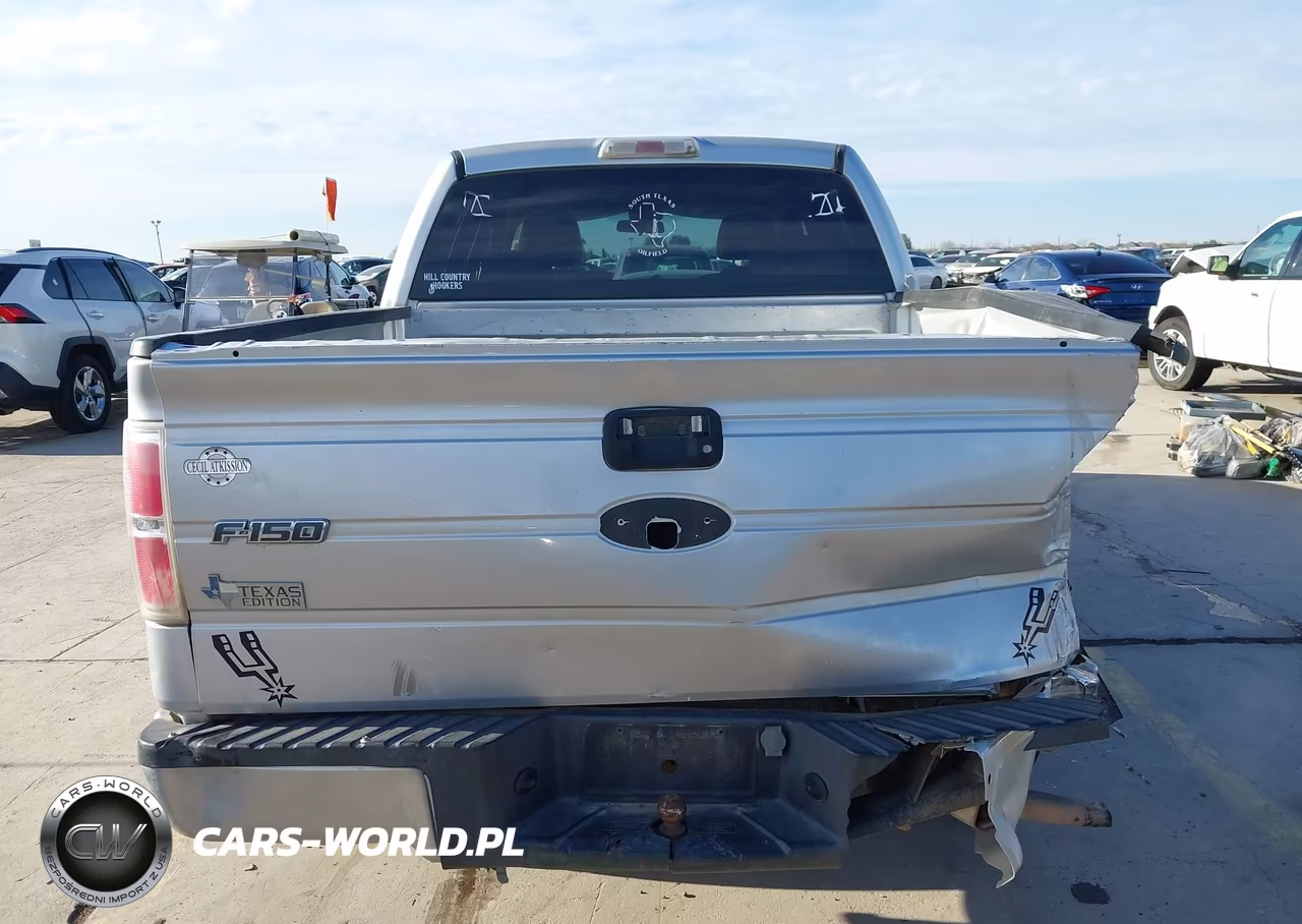2009 Ford F-150 Xl-Xlt VIN:1FTRW12849FA80878 - 16