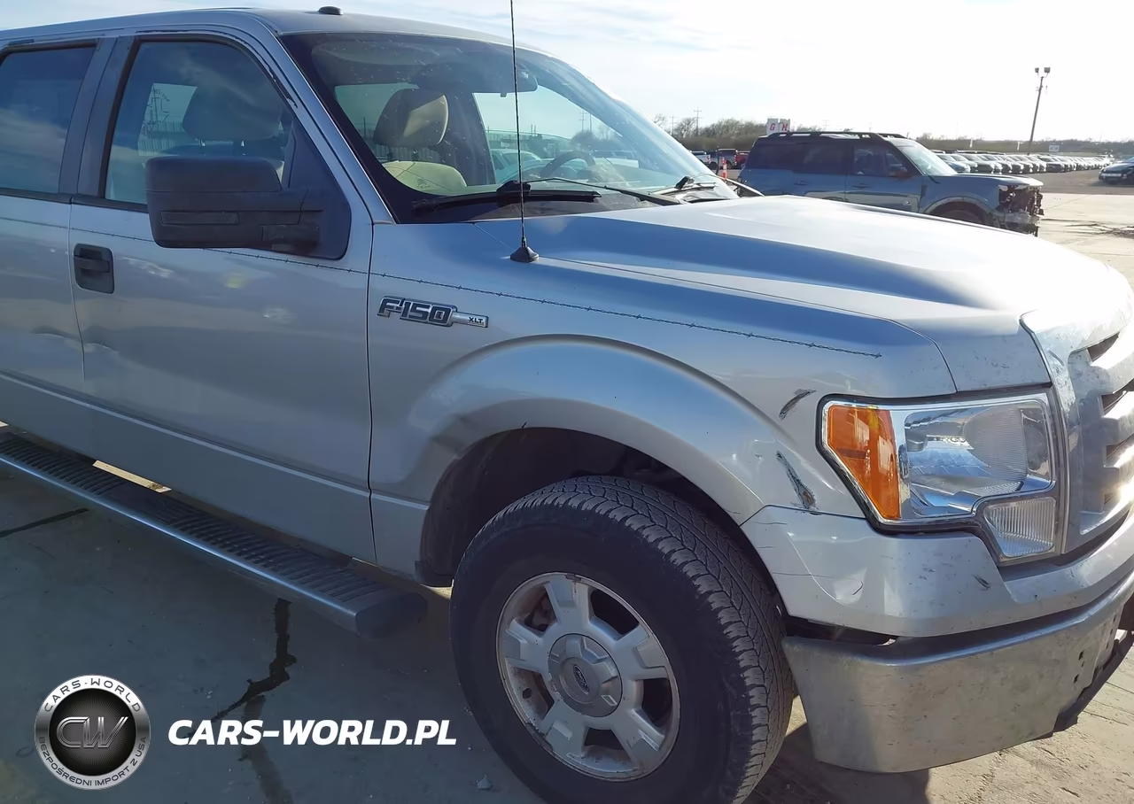 2009 Ford F-150 Xl-Xlt VIN:1FTRW12849FA80878 - 17