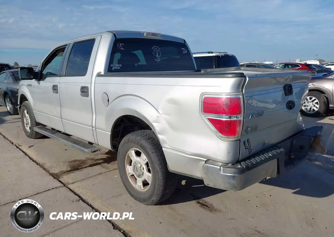 2009 Ford F-150 Xl-Xlt VIN:1FTRW12849FA80878 - 3