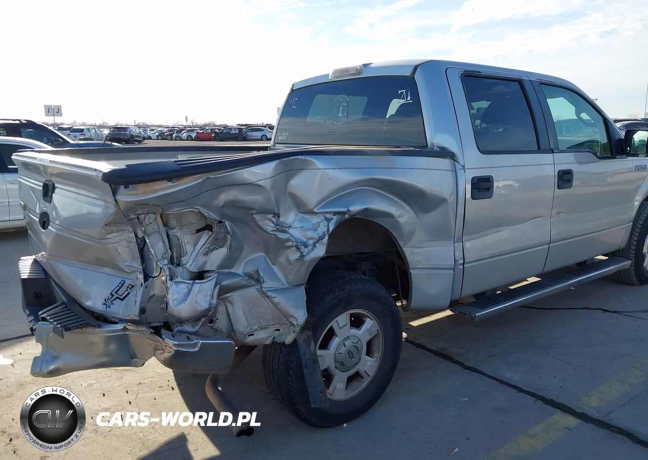 2009 Ford F-150 Xl-Xlt VIN:1FTRW12849FA80878 - 6