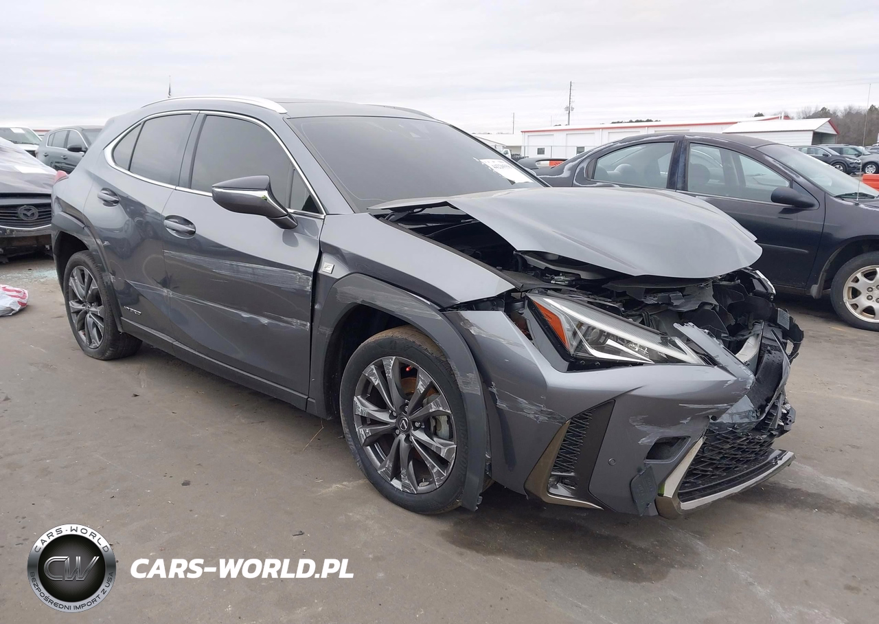 2019 Lexus Ux 250H F Sport