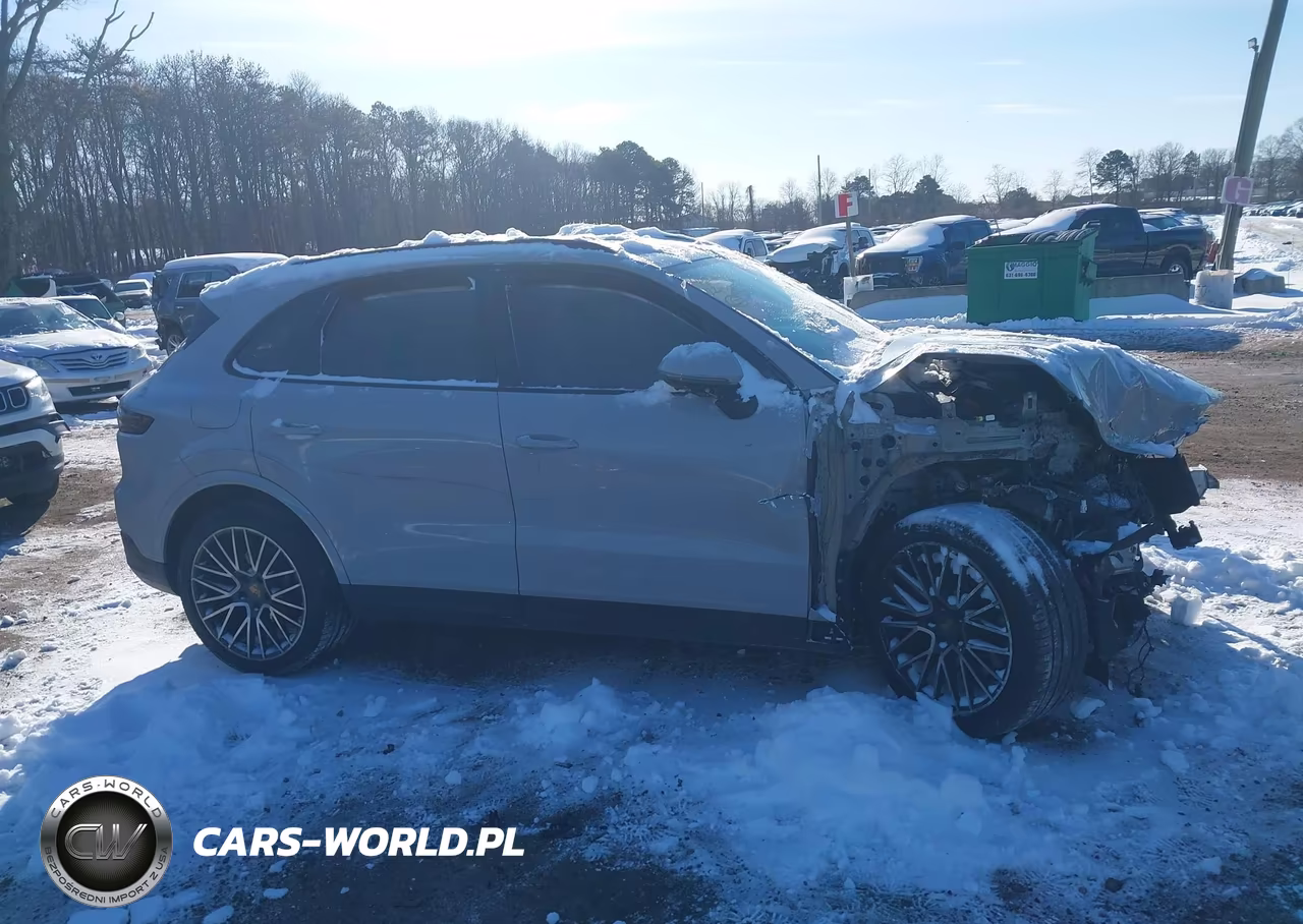 2022 Porsche Cayenne S-S Platinum Edition VIN:WP1AB2AY4NDA32074 - 13