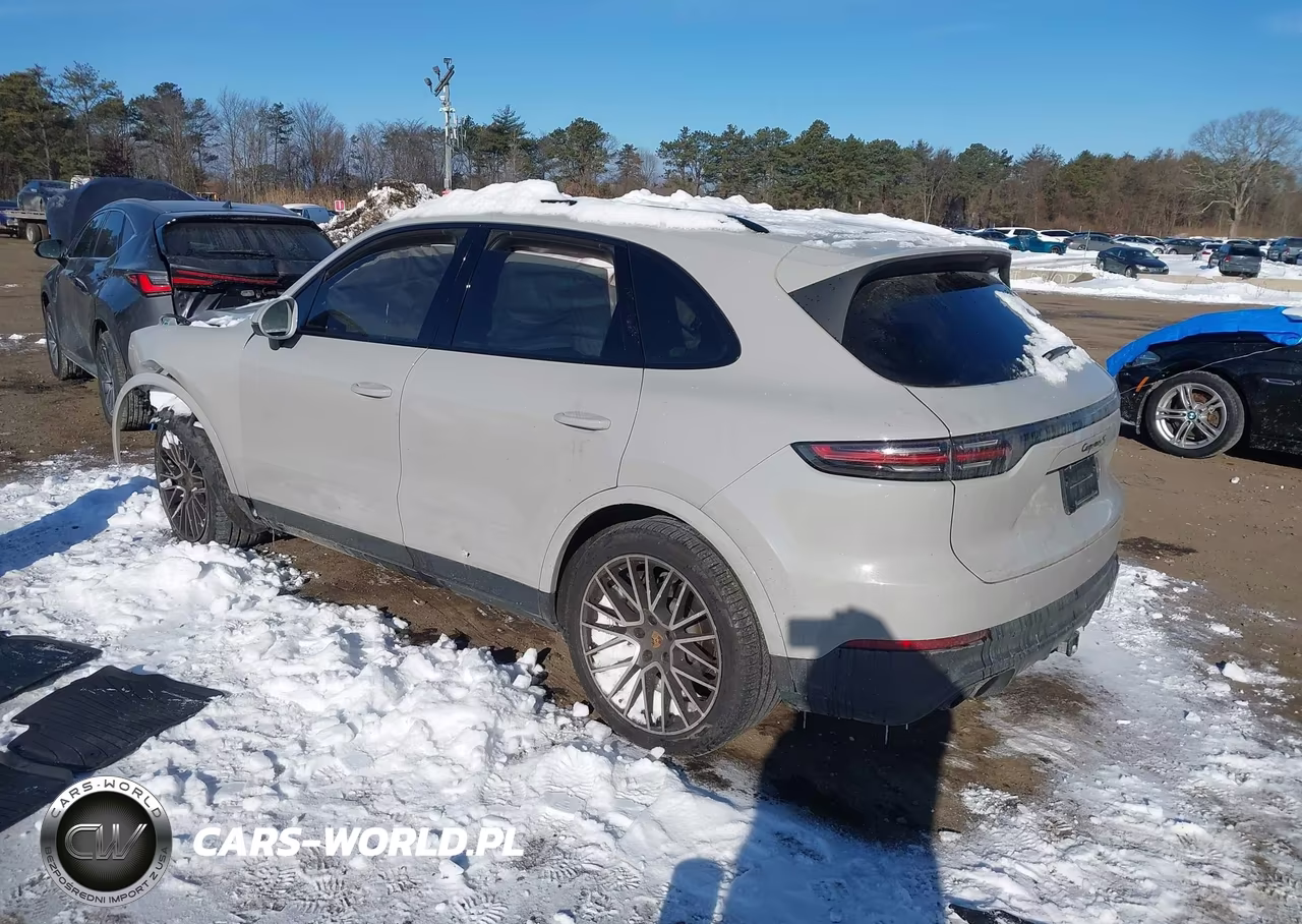 2022 Porsche Cayenne S-S Platinum Edition VIN:WP1AB2AY4NDA32074 - 3