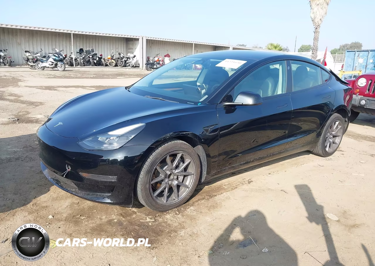 2023 Tesla Model 3 Rear-Wheel Drive VIN:5YJ3E1EA3PF507038 - 2