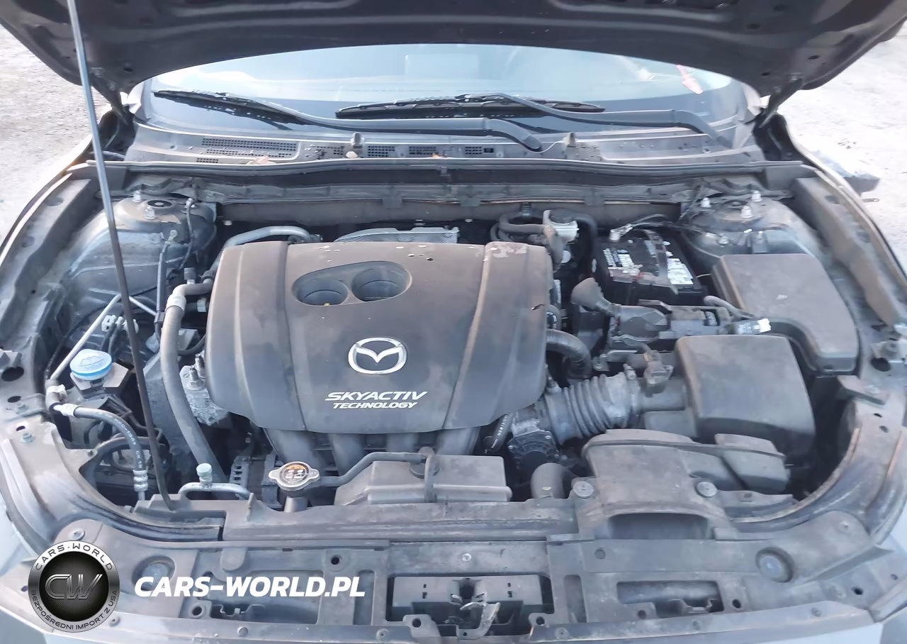 2014 Mazda Mazda3 I Sport VIN:JM1BM1K71E1162847 - 10
