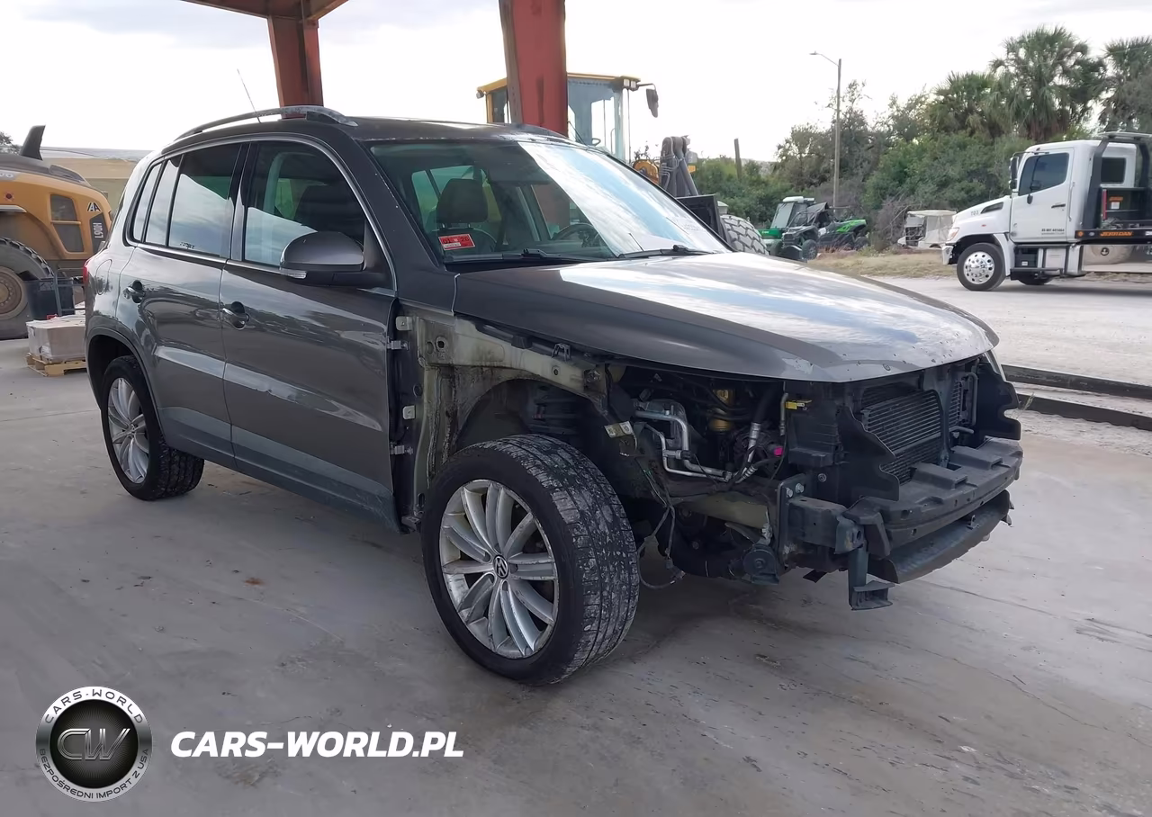 2010 Volkswagen Tiguan Sel
