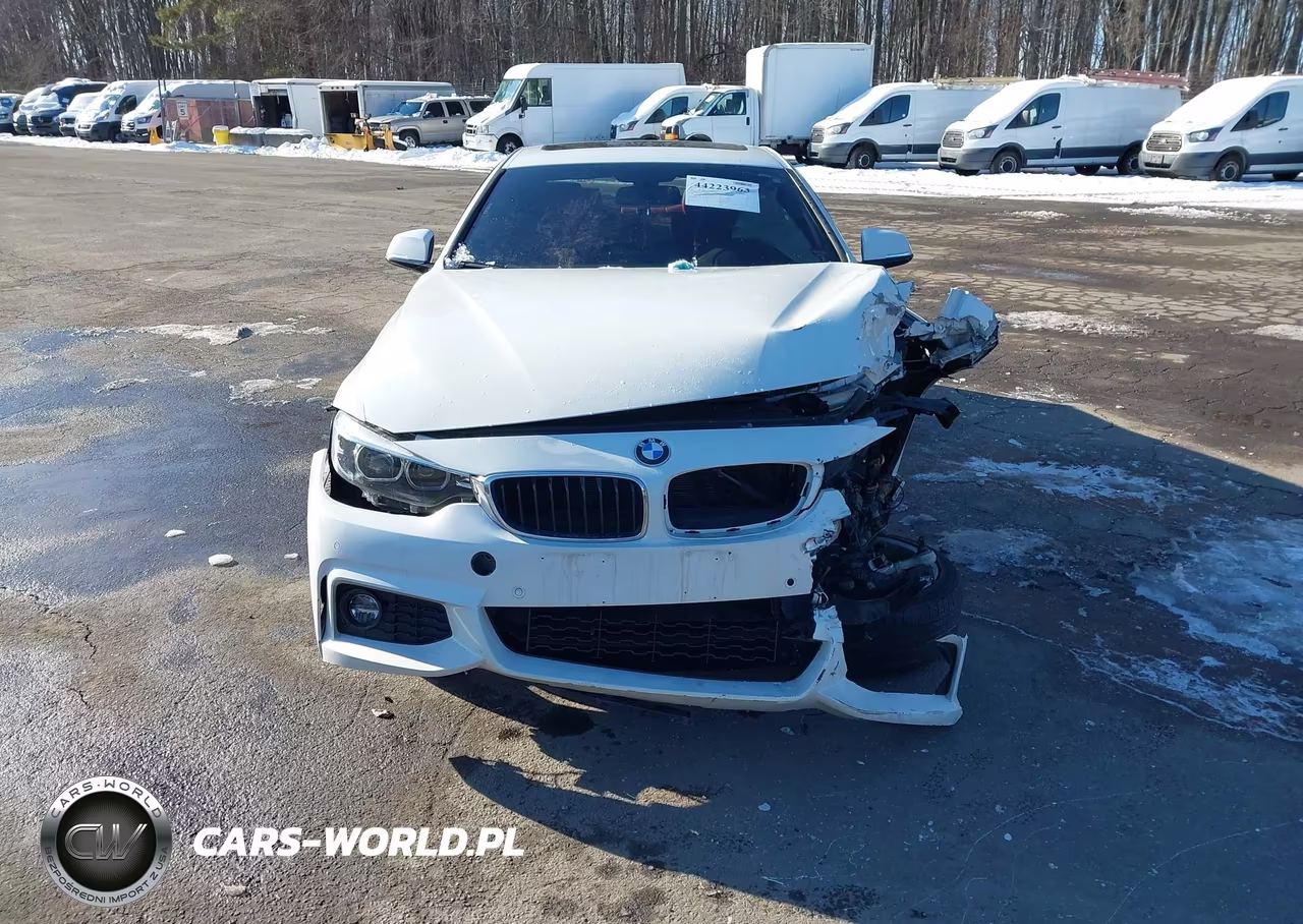 2019 BMW 430I xDrive VIN:WBA4W5C51KAE43825 - 13