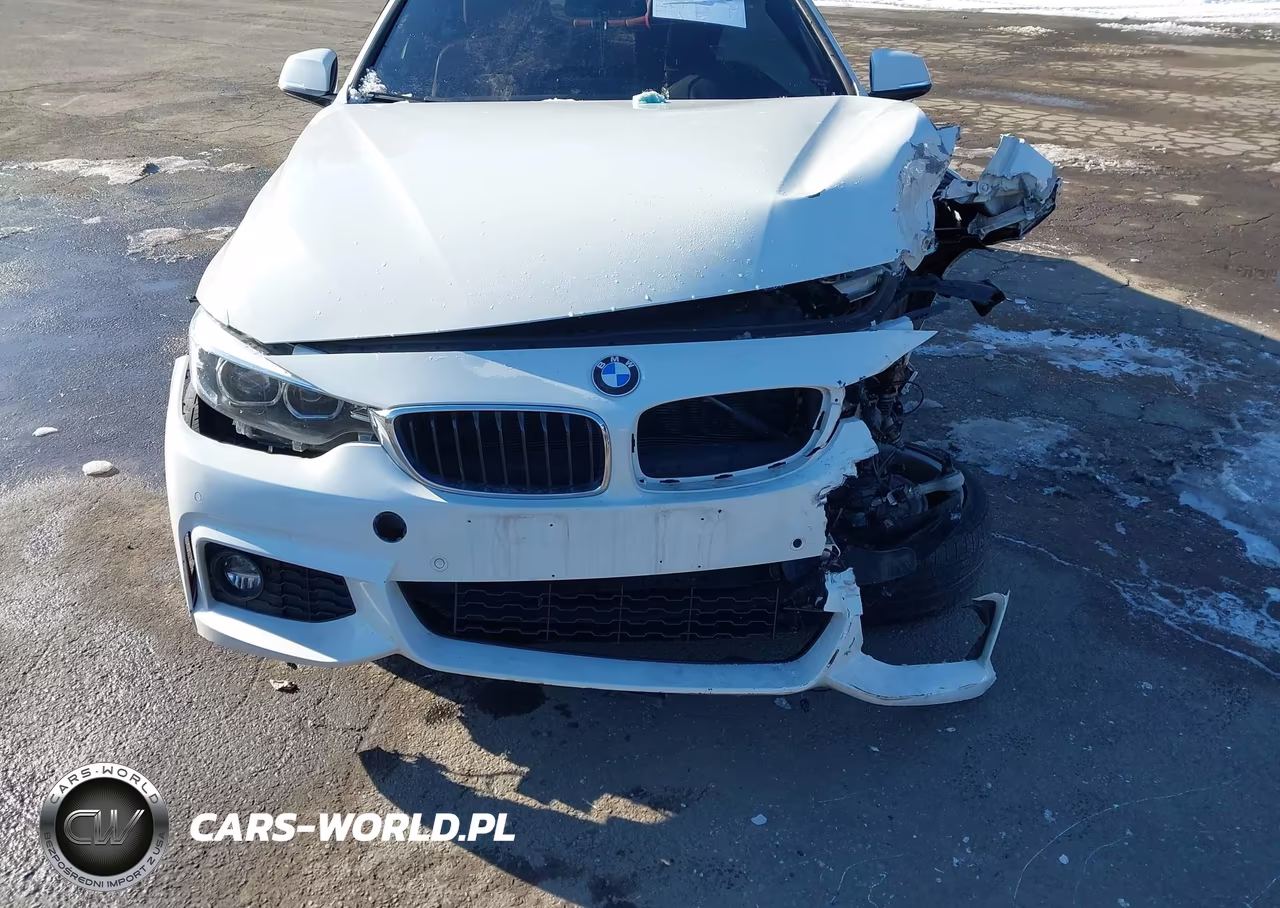 2019 BMW 430I xDrive VIN:WBA4W5C51KAE43825 - 18