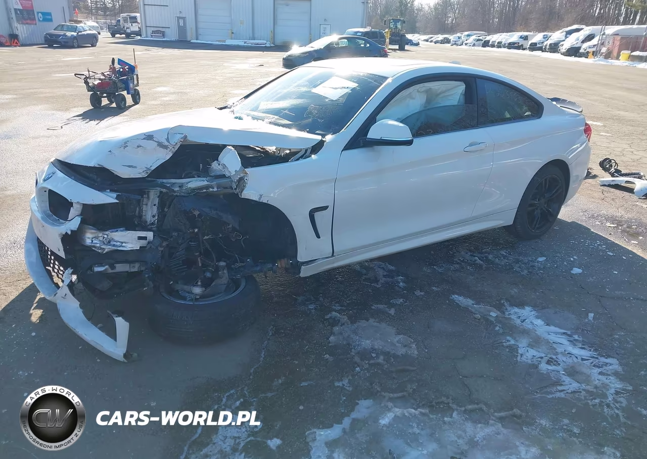 2019 BMW 430I xDrive VIN:WBA4W5C51KAE43825 - 2