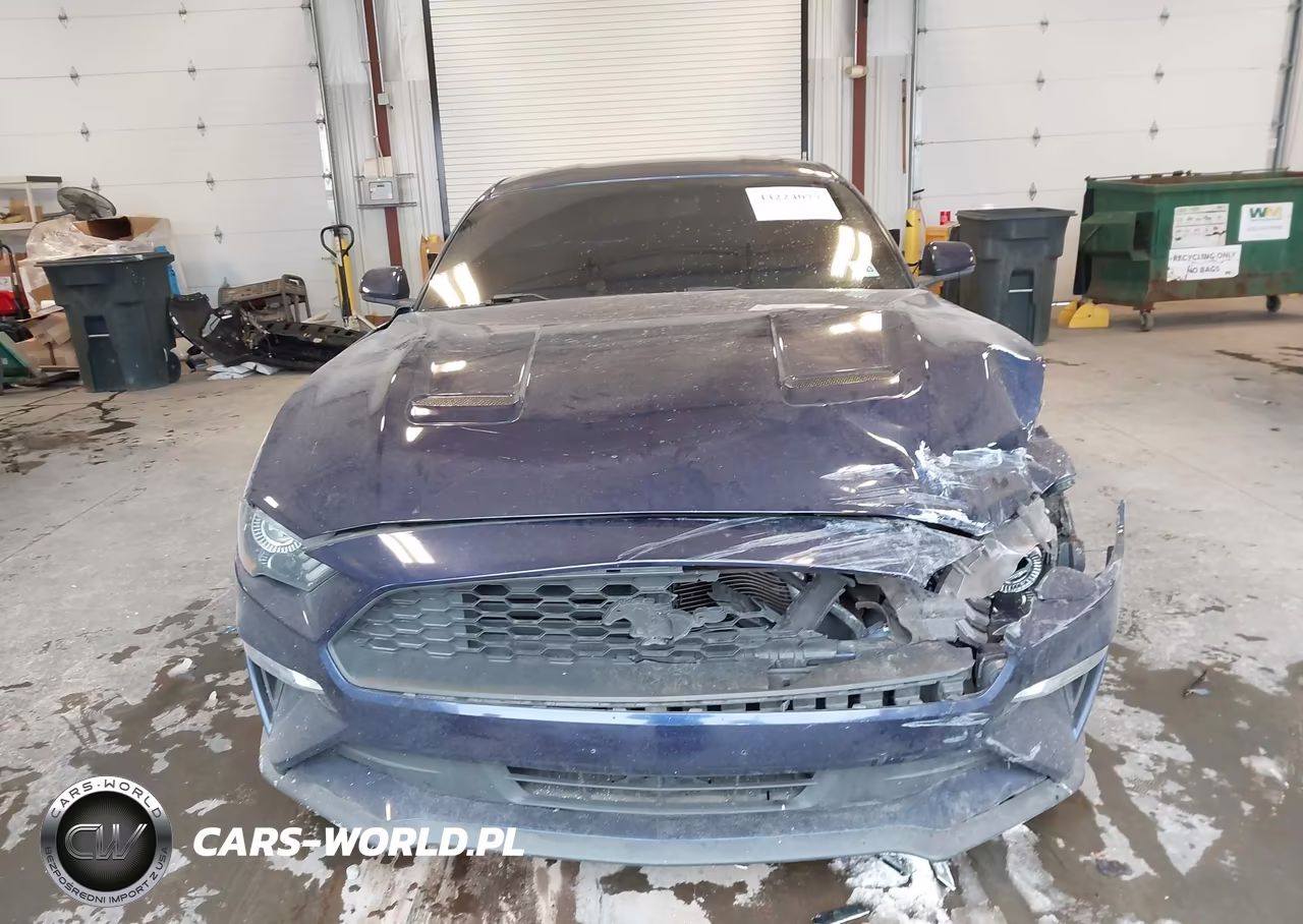 2018 Ford Mustang Ecoboost VIN:1FA6P8THXJ5137138 - 12