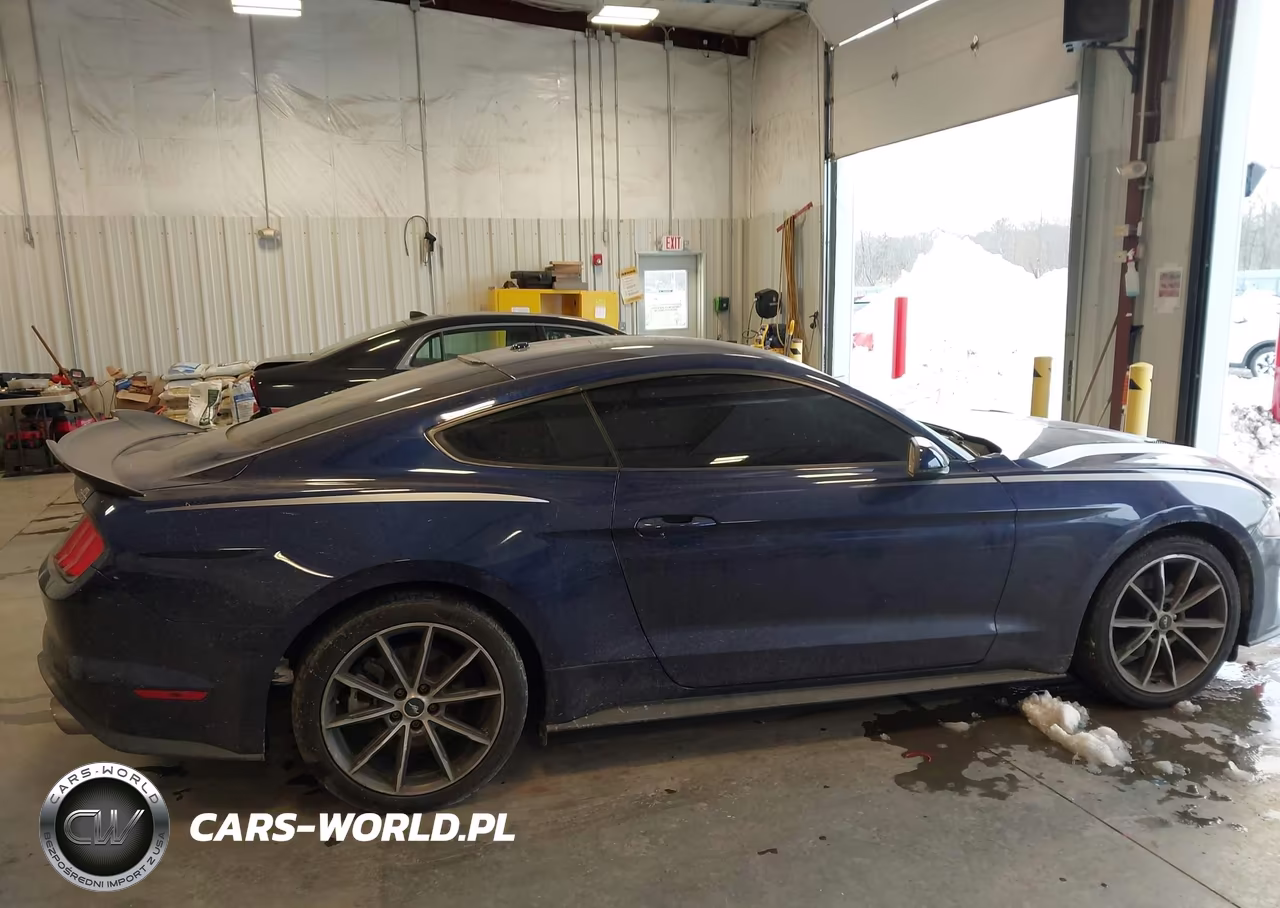 2018 Ford Mustang Ecoboost VIN:1FA6P8THXJ5137138 - 13