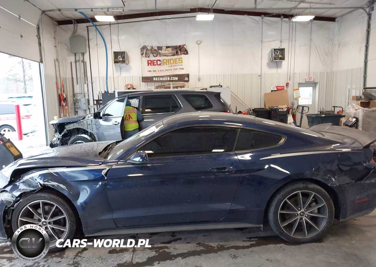 2018 Ford Mustang Ecoboost VIN:1FA6P8THXJ5137138 - 14