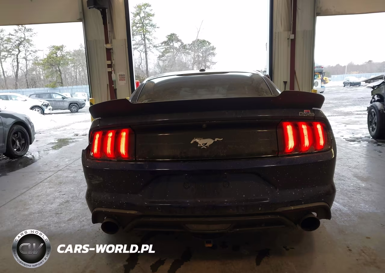 2018 Ford Mustang Ecoboost VIN:1FA6P8THXJ5137138 - 16