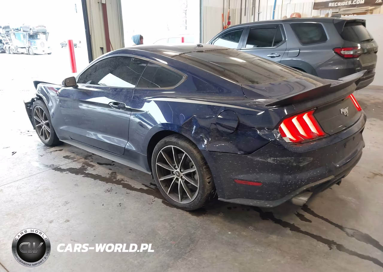 2018 Ford Mustang Ecoboost VIN:1FA6P8THXJ5137138 - 3