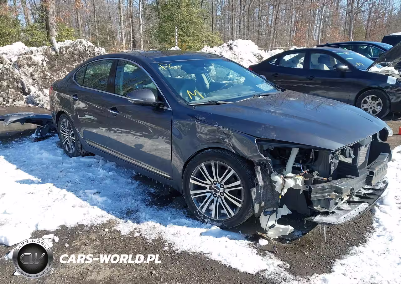 2014 Kia Cadenza Premium