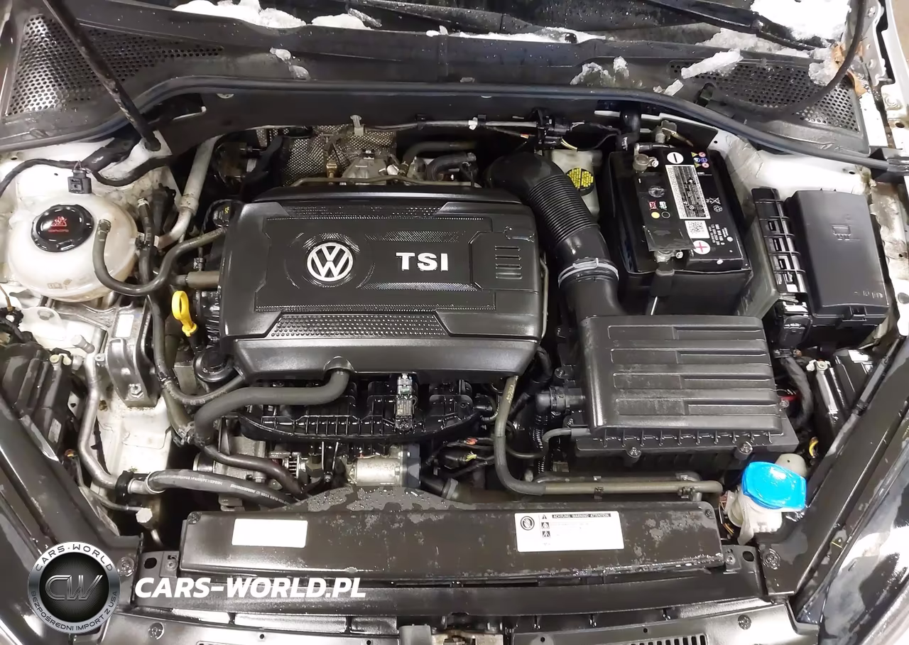 2019 Volkswagen Golf Alltrack Tsi S-Tsi Se-Tsi Sel VIN:3VWM17AU4KM522474 - 10