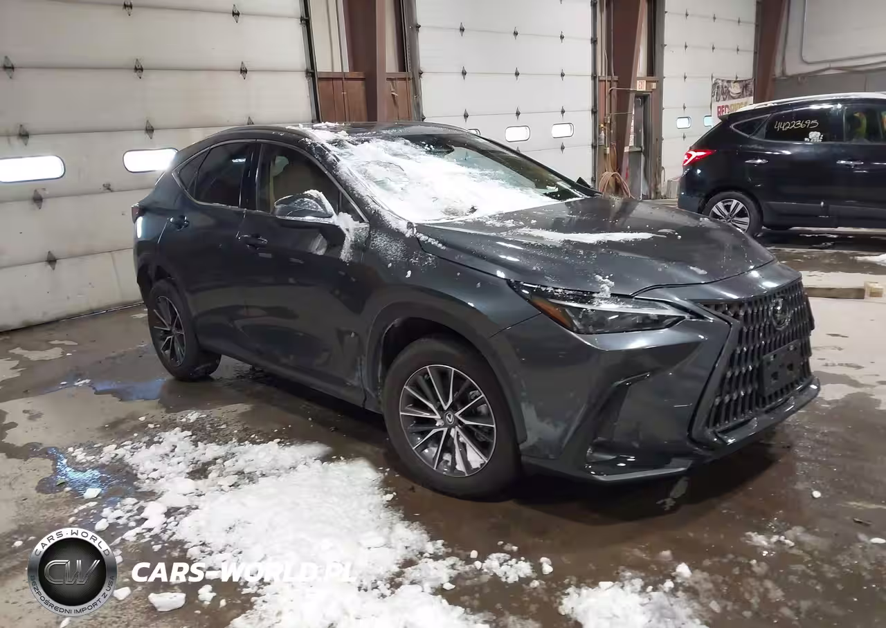 2025 Lexus Nx 350 Premium