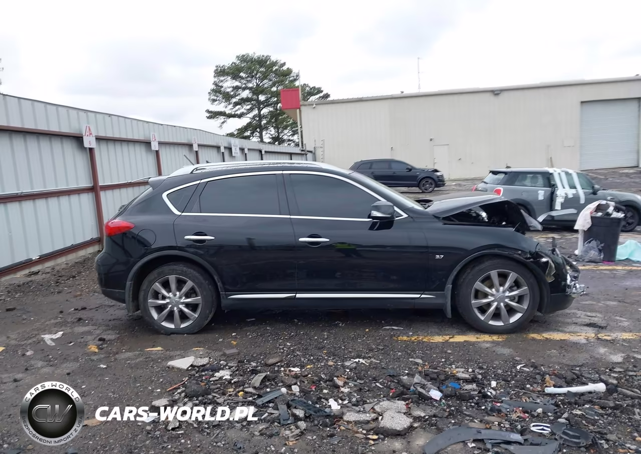 2017 Infiniti Qx50 VIN:JN1BJ0RPXHM387170 - 12