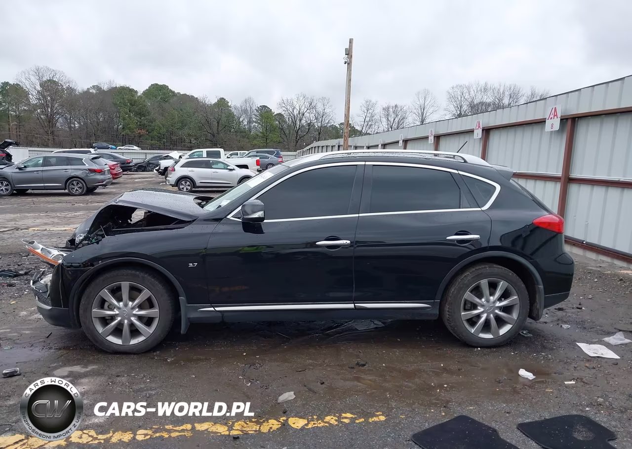 2017 Infiniti Qx50 VIN:JN1BJ0RPXHM387170 - 13