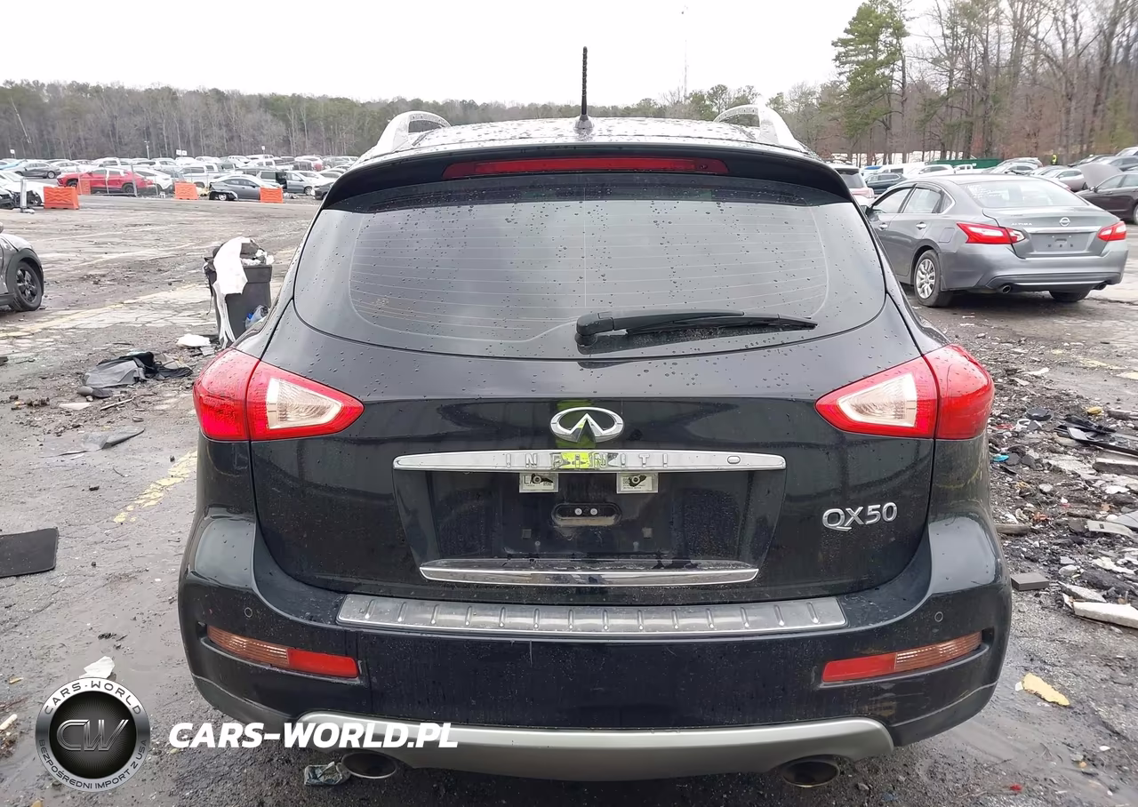 2017 Infiniti Qx50 VIN:JN1BJ0RPXHM387170 - 15