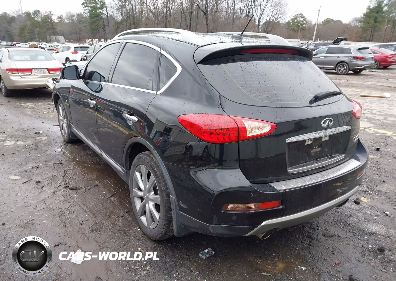 2017 Infiniti Qx50 VIN:JN1BJ0RPXHM387170 - 3