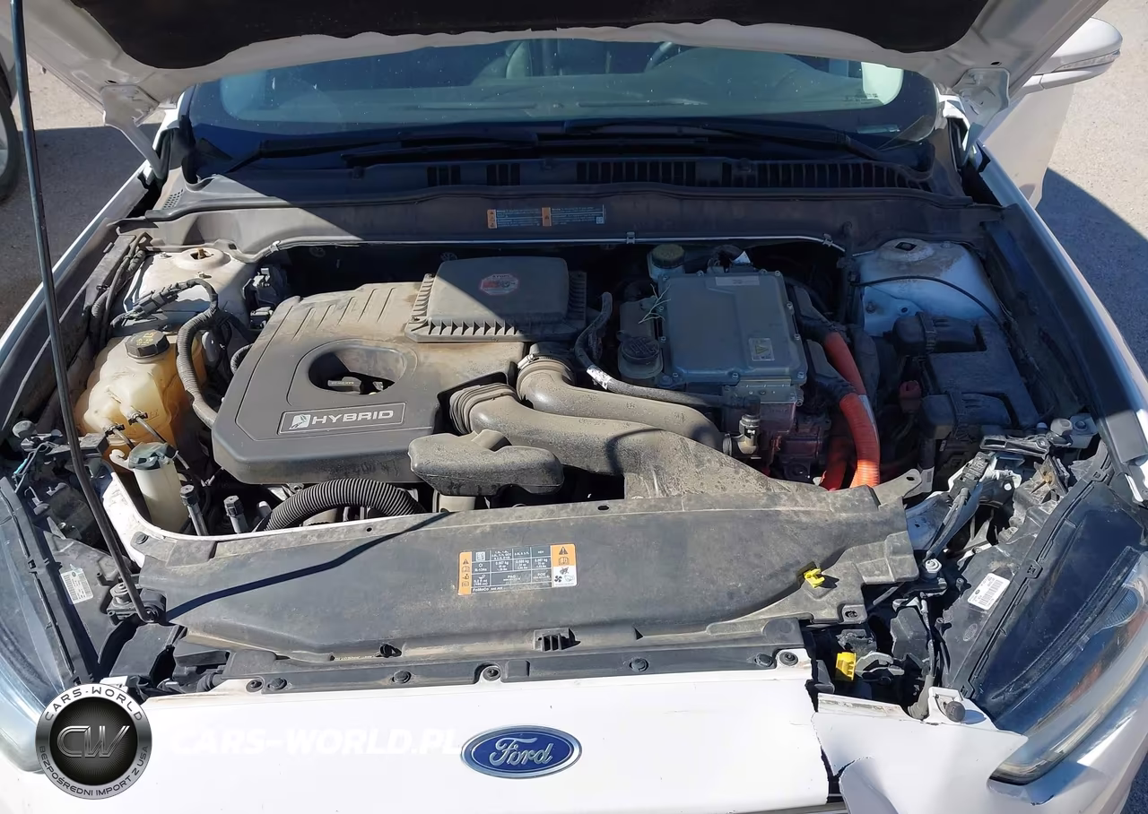 2014 Ford Fusion Hybrid Se VIN:3FA6P0LU6ER121469 - 10