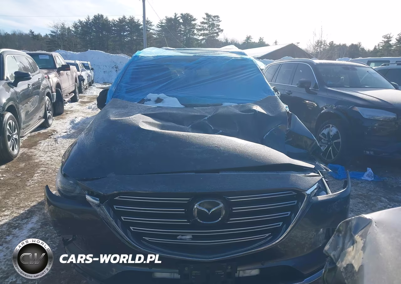 2018 Mazda Cx-9 Grand Touring VIN:JM3TCBDY0J0206024 - 11