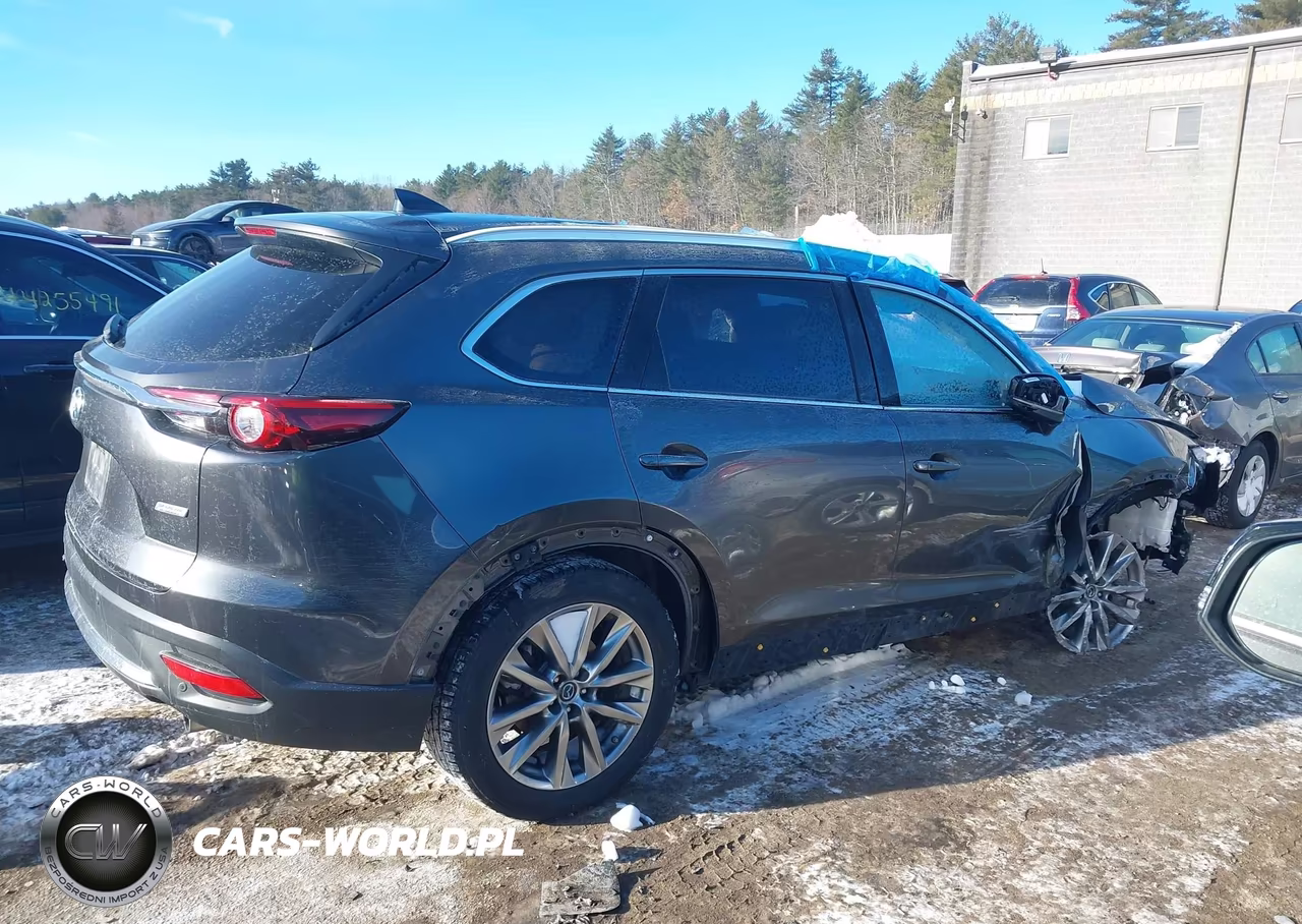 2018 Mazda Cx-9 Grand Touring VIN:JM3TCBDY0J0206024 - 12