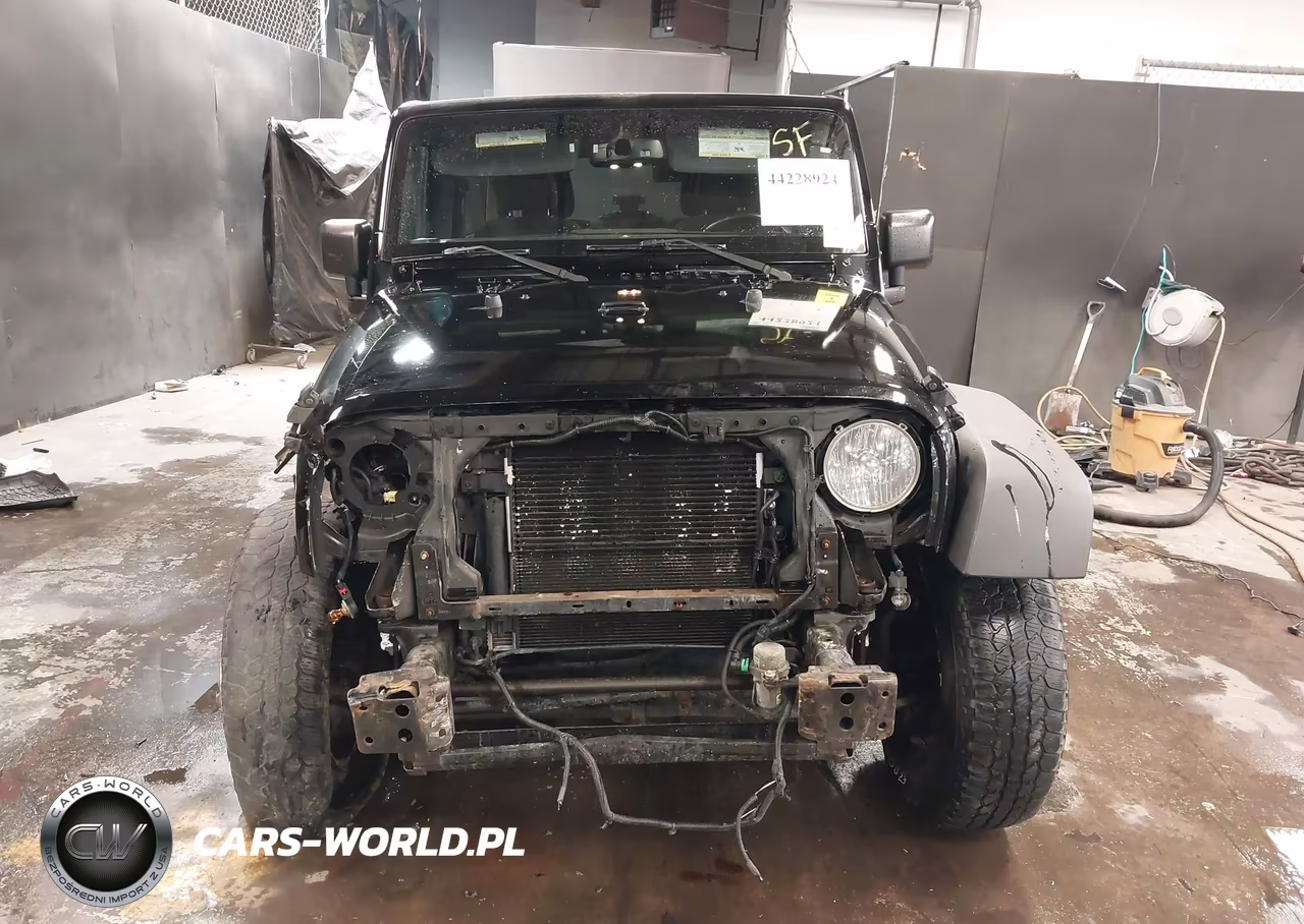 2016 Jeep Wrangler Unlimited Willys Wheeler VIN:1C4BJWDG4GL188157 - 12